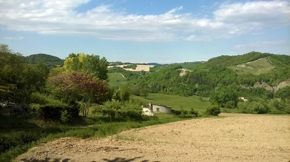 Panorama di Montesegale